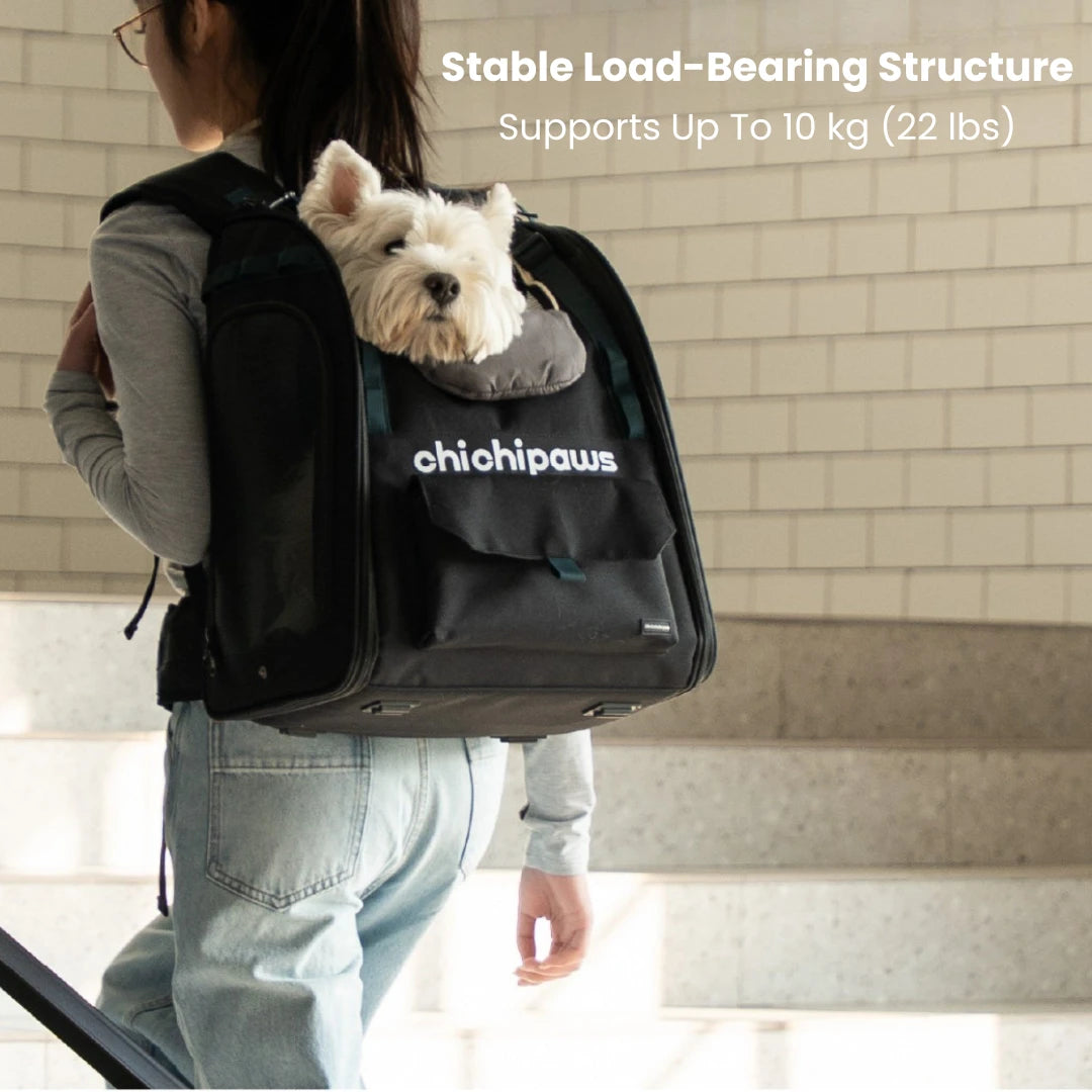 AirPace Dog Backpack