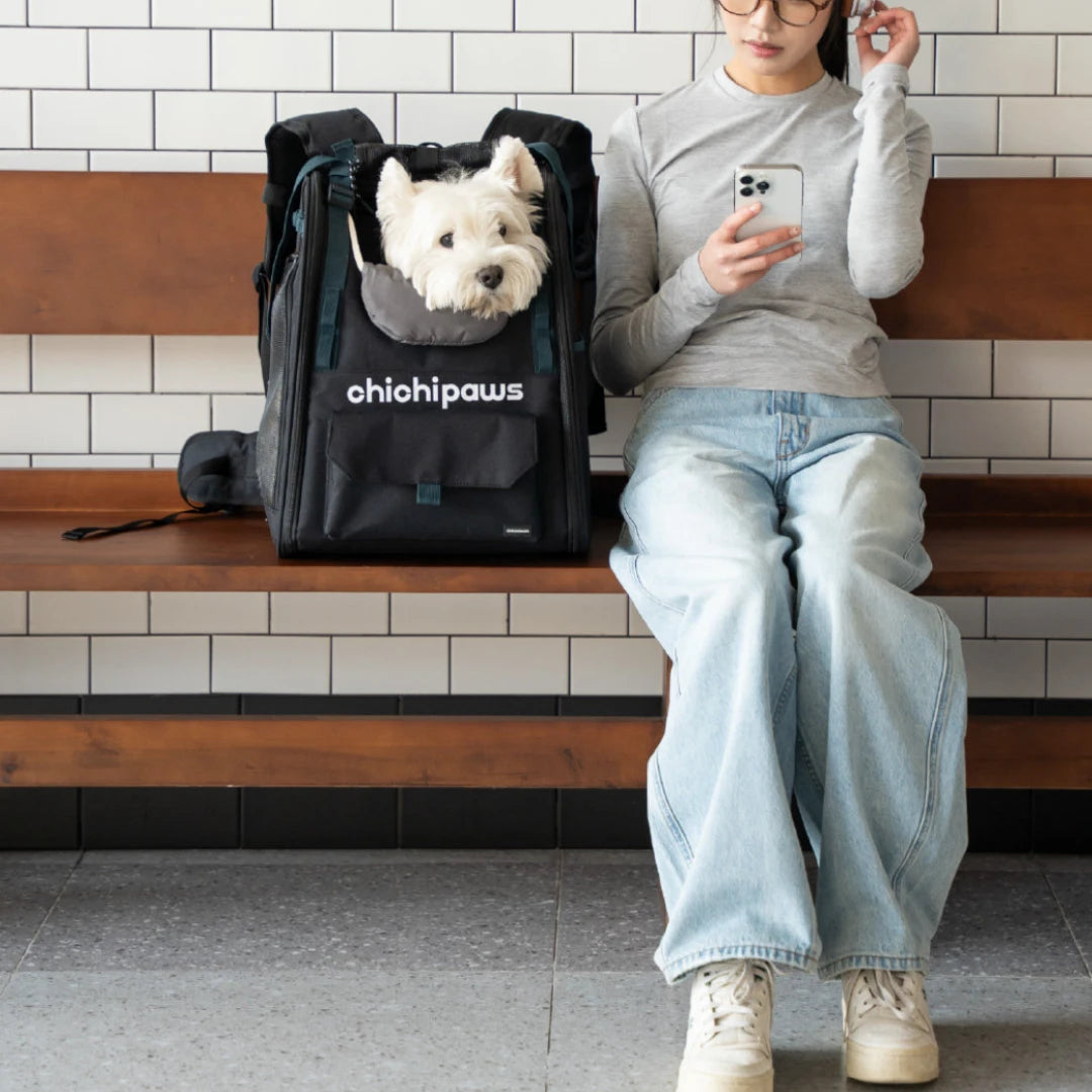 AirPace Dog Backpack