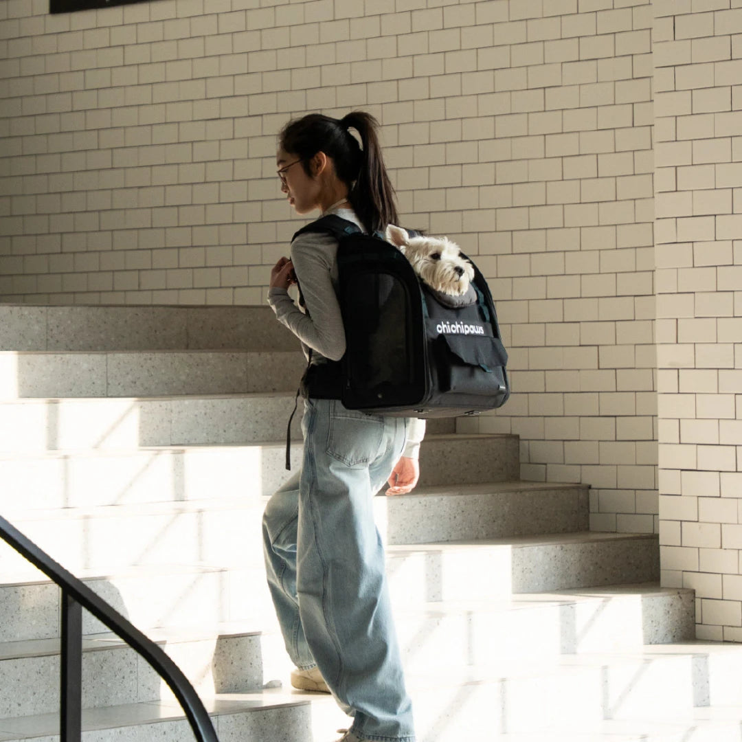 AirPace Dog Backpack