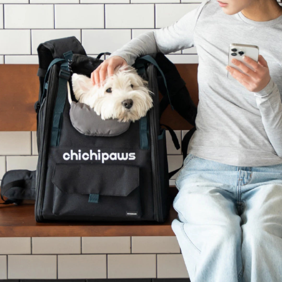 AirPace Dog Backpack