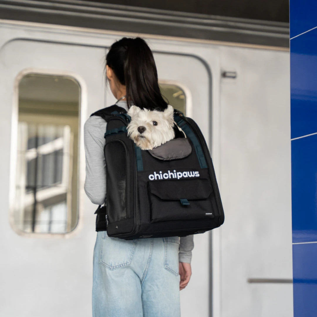 AirPace Dog Backpack