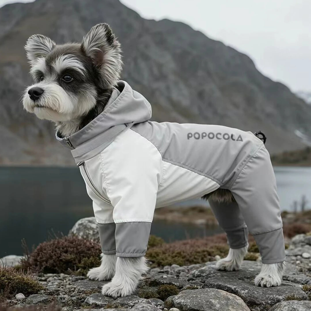 Field Walk Windproof Dog Jacket