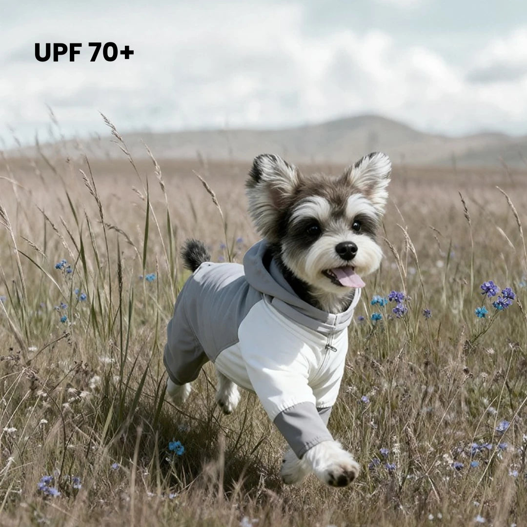 Field Walk Windproof Dog Jacket