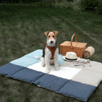 2-In-1 PlaitVale Lounge Mat