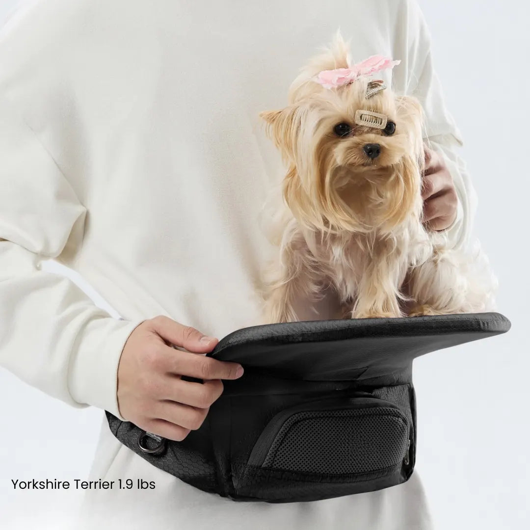 SideNest Pet Hip Seat Carrier