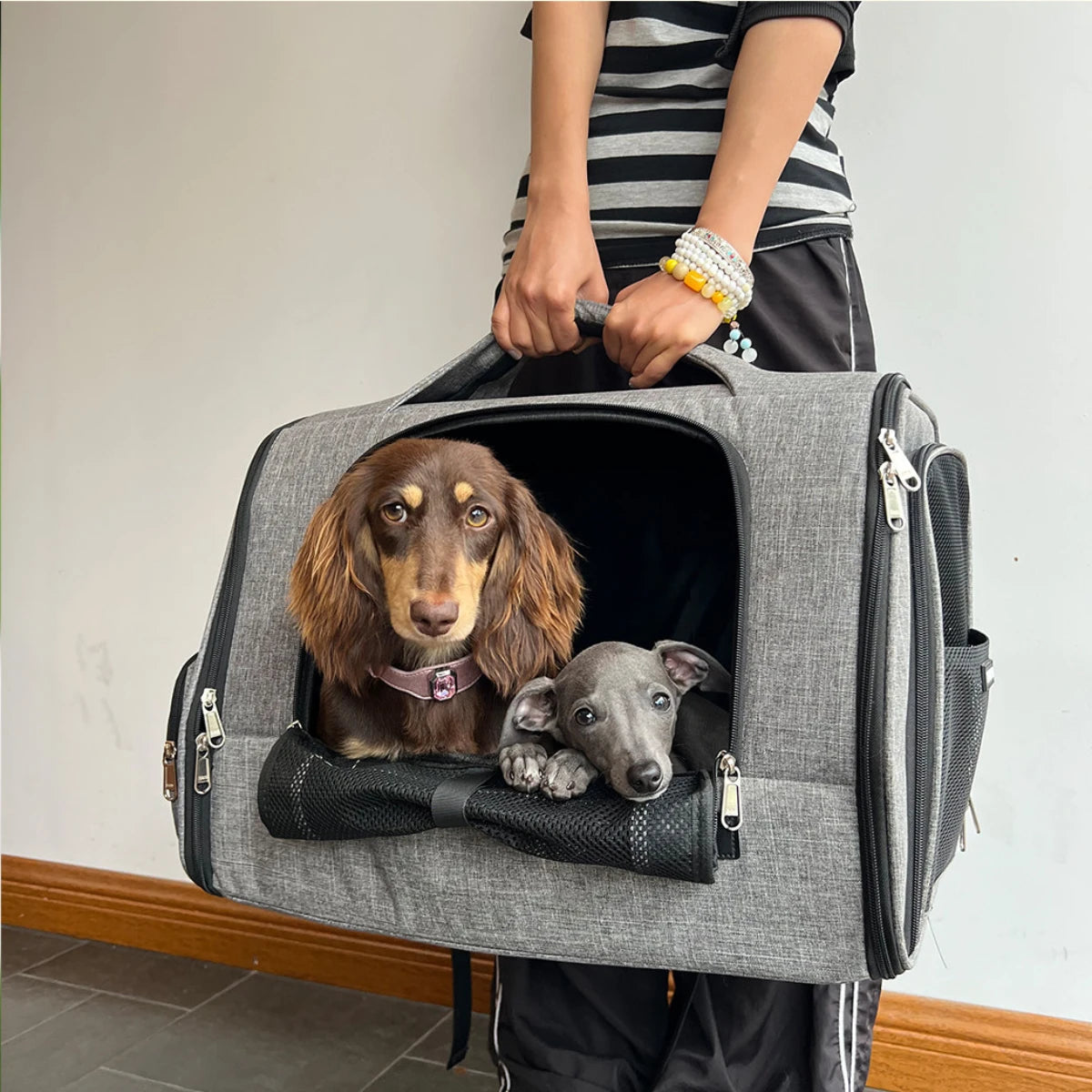 TwinPace Pet Backpack