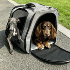 TwinPace Pet Backpack