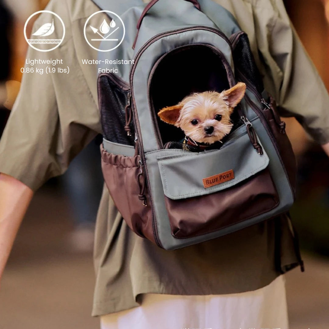 ClaspPace Urban Pet Backpack