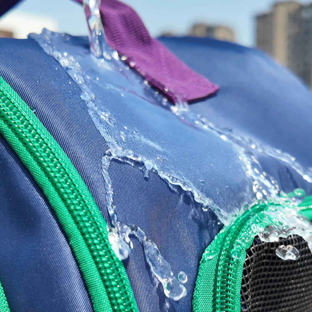ClaspPace Urban Pet Backpack