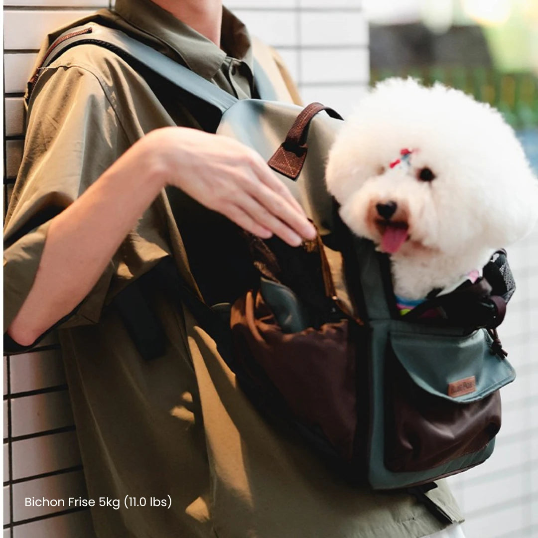 ClaspPace Urban Pet Backpack