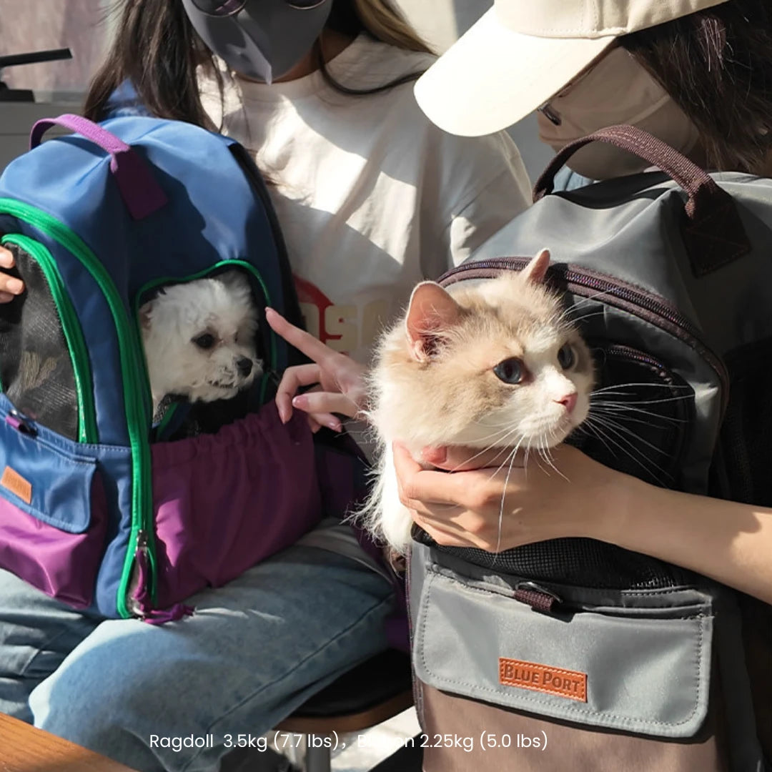 ClaspPace Urban Pet Backpack