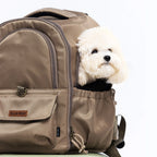 ClaspPace Urban Pet Backpack