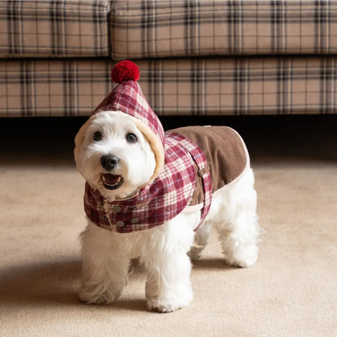 Mulled Berry Plaid Dog Jacket