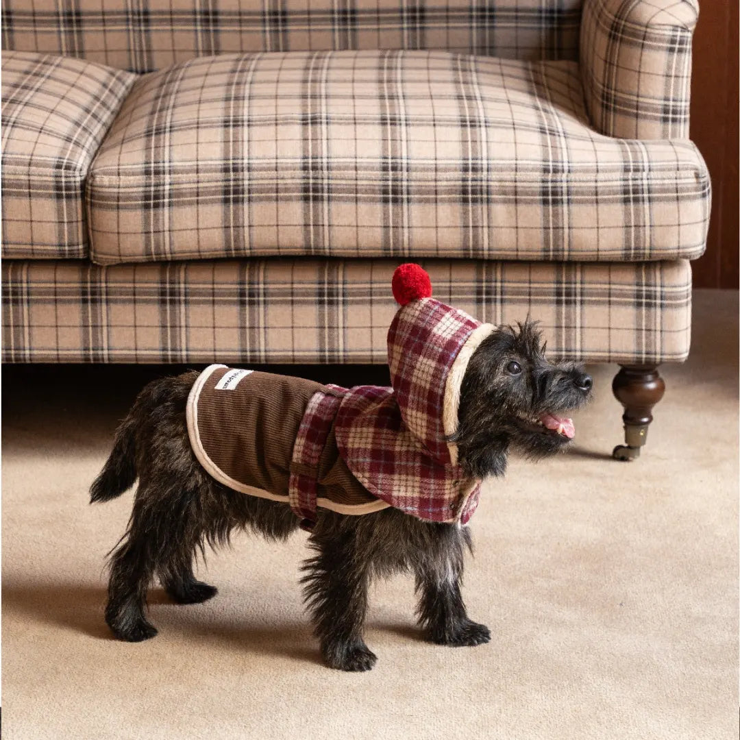 Mulled Berry Plaid Dog Jacket