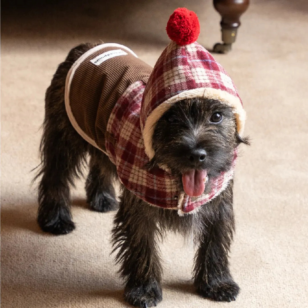 Mulled Berry Plaid Dog Jacket