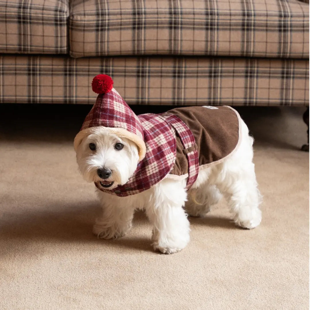 Mulled Berry Plaid Dog Jacket