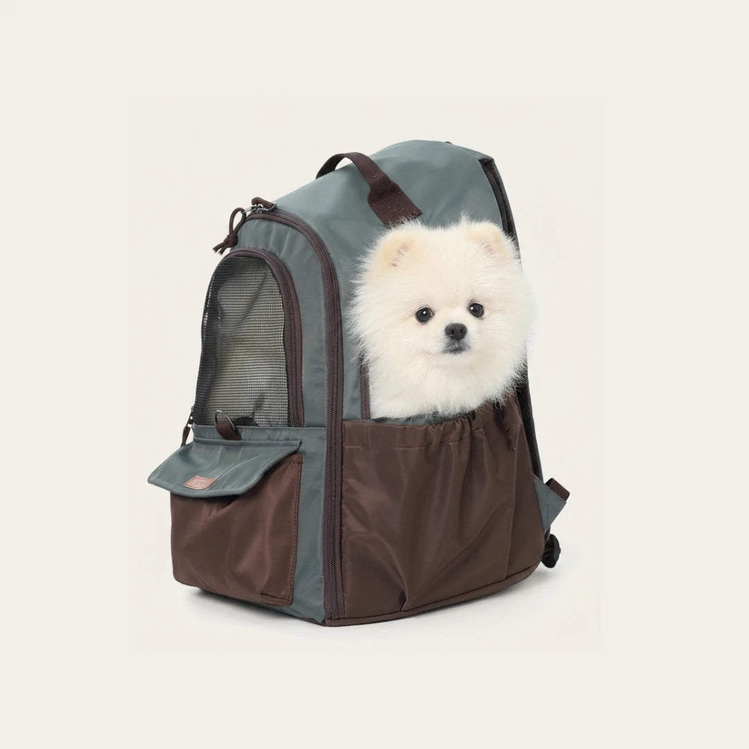 ClaspPace Urban Pet Backpack