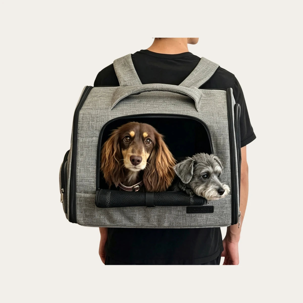 TwinPace Pet Backpack