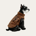 Winter Walk Dog Fleece Vest