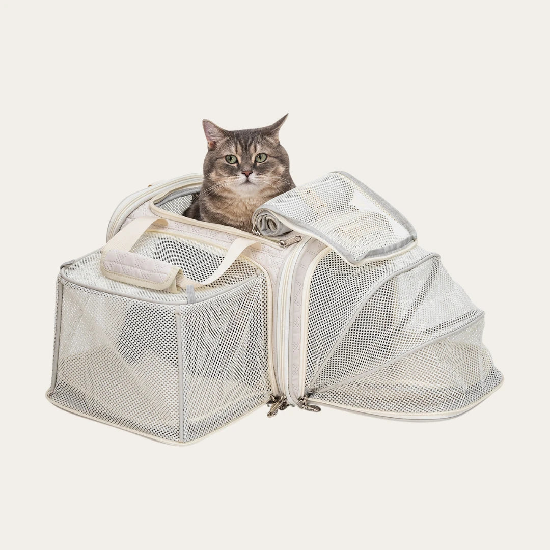 Expandable Airline Pet Carrier