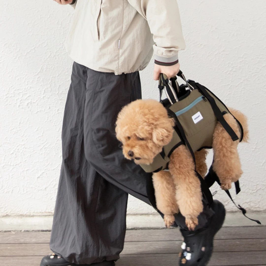 HarnessNook Pet Backpack