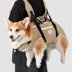 HarnessNook Pet Backpack