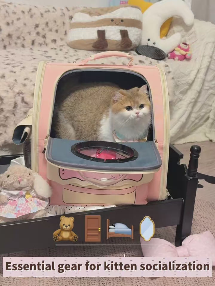 Bubble Window Pet Carrier Backpack