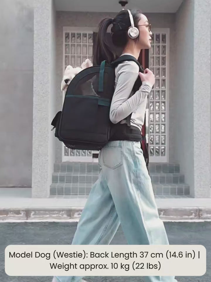 AirPace Support Pet Carrier Backpack