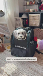 AirPace Support Pet Carrier Backpack