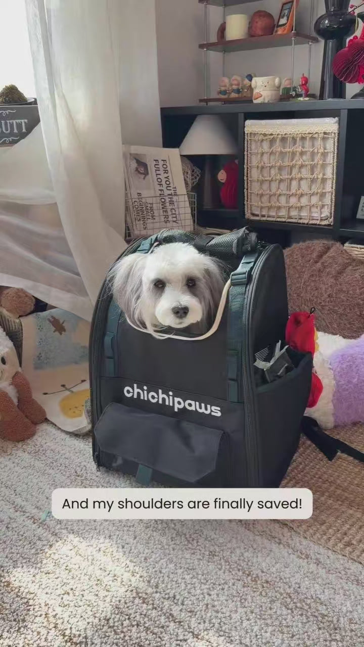 AirPace Support Pet Carrier Backpack