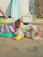 SunlitCarry Pet Tote