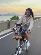 Stable Center Mounted Puppy Bike Carrier For Most Bicycles