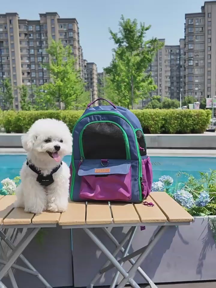 ClaspPace Urban Pet Backpack