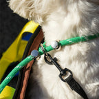 VarsityGrid Puppy Sling Bag