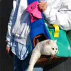 VarsityGrid Puppy Sling Bag