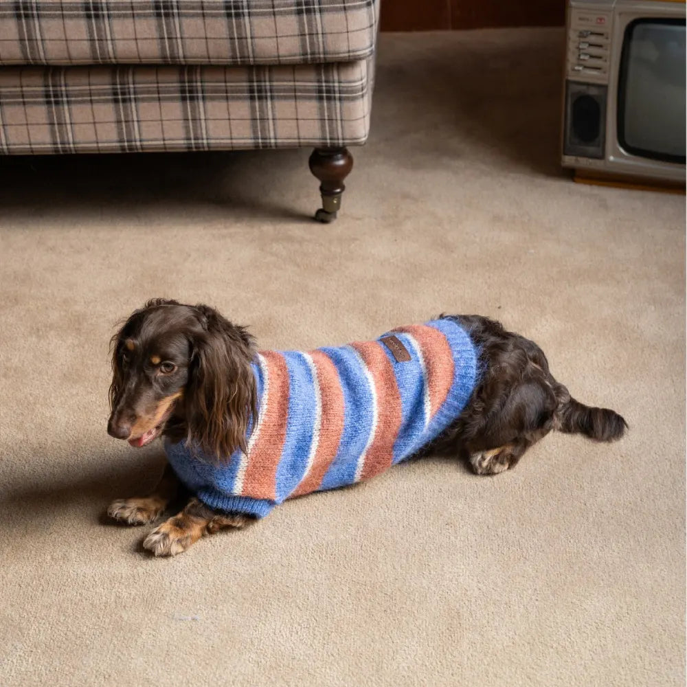 Retro Stripe Knit Sweater for Small Dogs and Cats