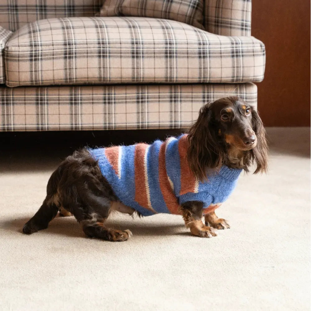 Retro Stripe Knit Sweater for Small Dogs and Cats