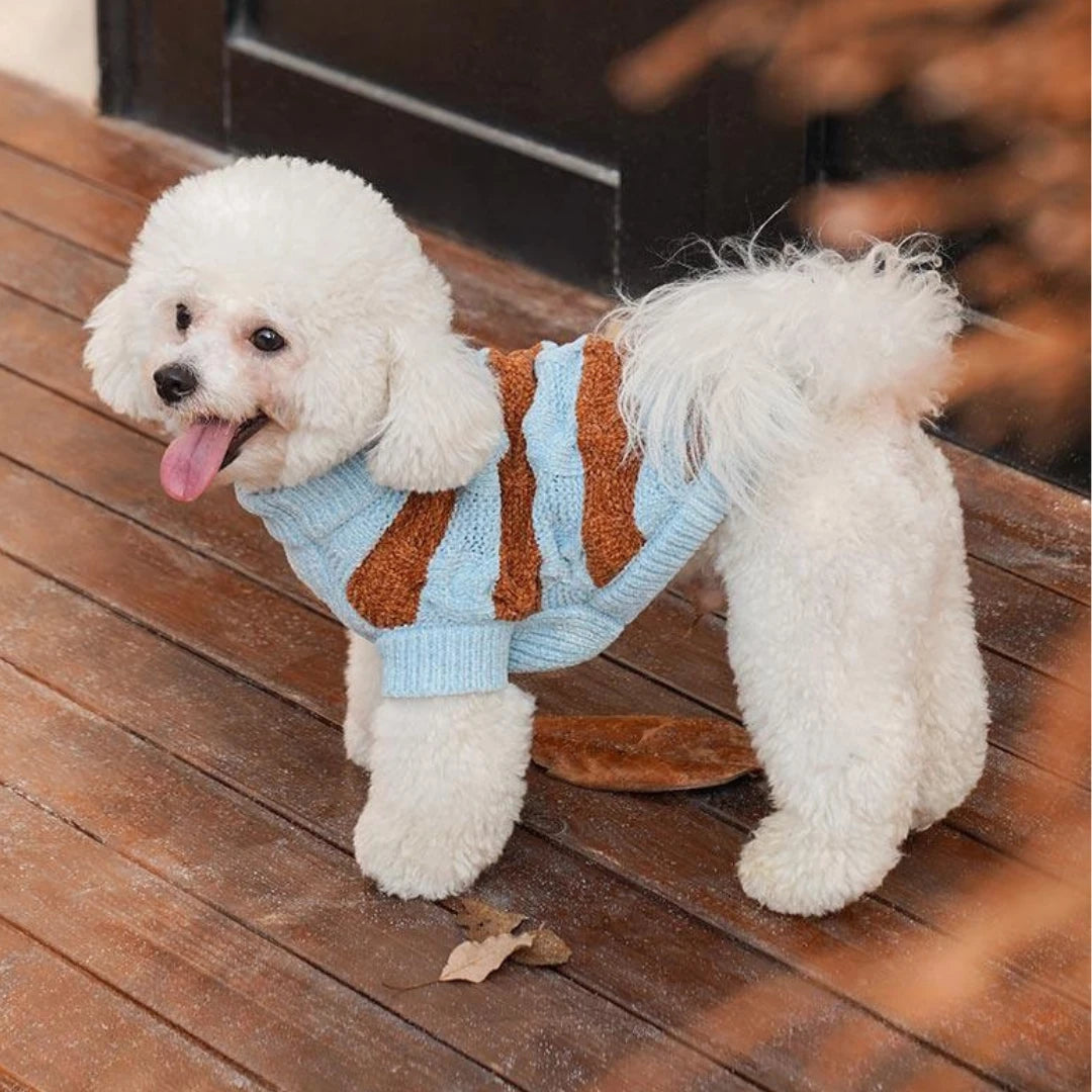 Sea Salt Chenille Sweater