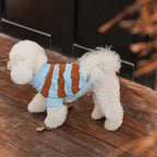 Sea Salt Chenille Sweater
