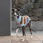 Sea Salt Chenille Sweater