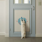 Peel-and-Stick Self-Adhesive Cat Scratching Mat