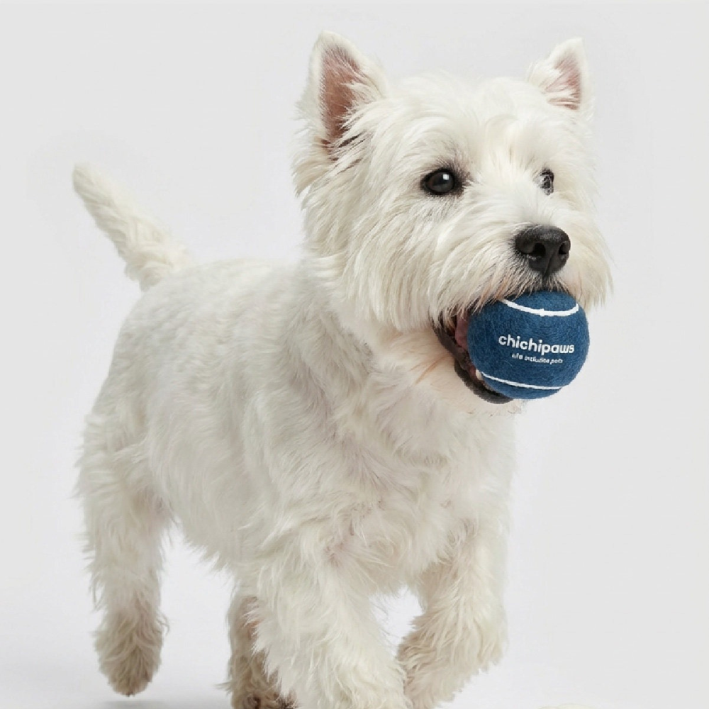 Squeaky Dog Tennis Balls 3-Pack