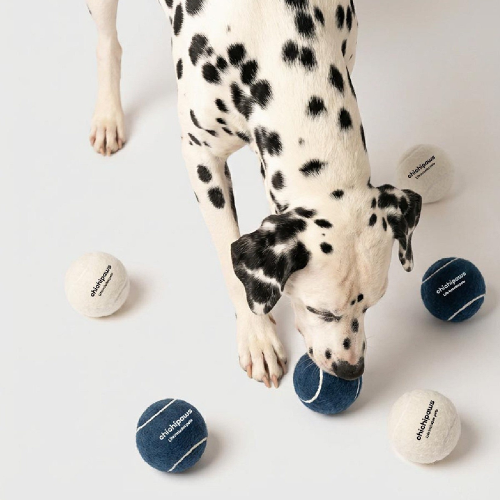 Squeaky Dog Tennis Balls 3-Pack