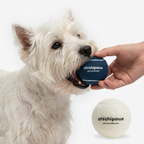 Squeaky Dog Tennis Balls 3-Pack