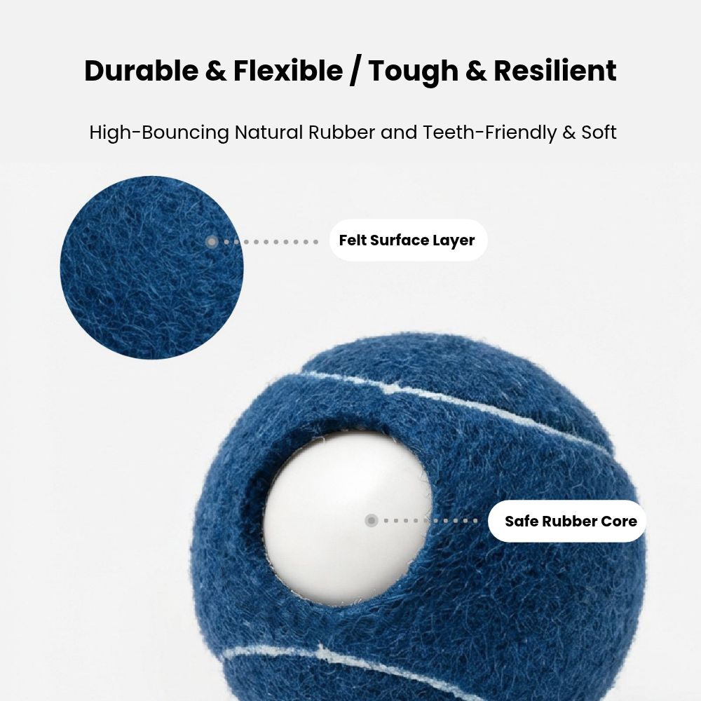 Squeaky Dog Tennis Balls 3-Pack