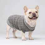 Varsity Knit Dog Vest