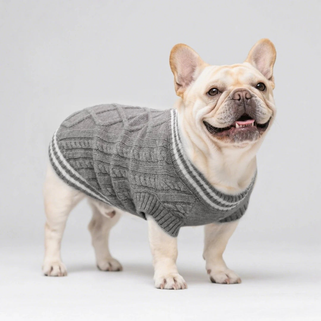 Varsity Knit Dog Vest