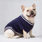 Varsity Knit Dog Vest