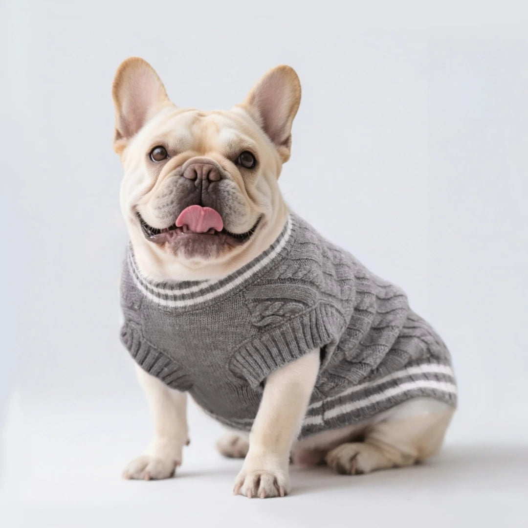 Varsity Knit Dog Vest