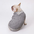 Varsity Knit Dog Vest